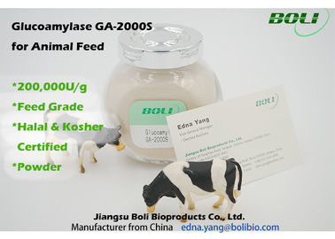 높은 활동 생물학 효소 200000 U/g의 동물 먹이 아밀로 글루코시다 아제 효소