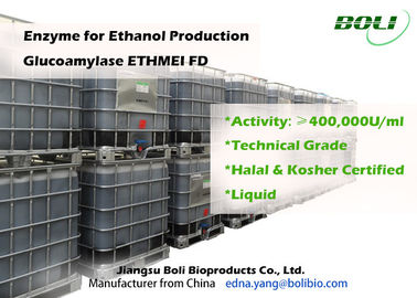 에타놀 생산을 위한 높은 효소 활성 Glucoamylase ETHMEI FD