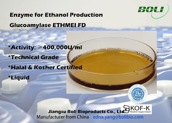 에타놀 생산을 위한 높은 활동 Glucoamylase 효소 ETHMEI FD