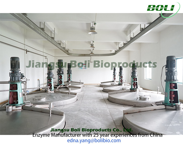 Jiangsu Boli Bioproducts Co., Ltd. 공장 생산 라인