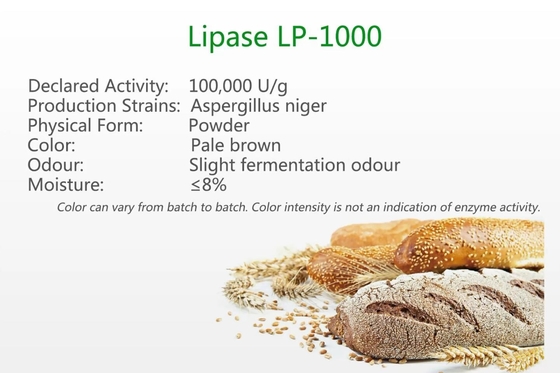 리파아제(지방분해 효소) LP-1000 굽기 효소 가수분해 파우더