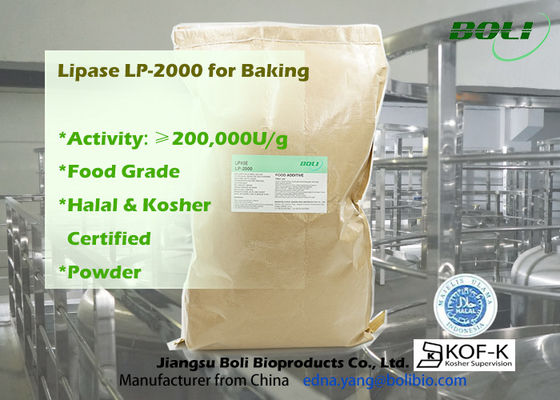 빵집 식품 용도를 위한 200000u/G 파우더 Lp-2000 고능률 리파아제 효소